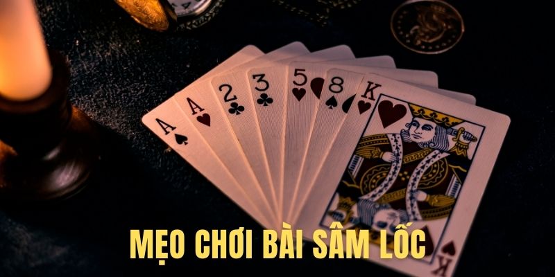 Báo sâm là sao và có rủi ro gì khi sử dụng